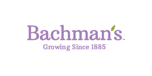 Bachman’s